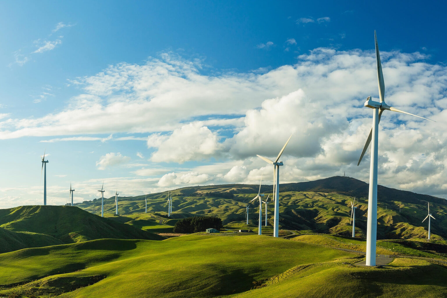 Wind power generation in Te Apiti Wind Farm, New Zealand